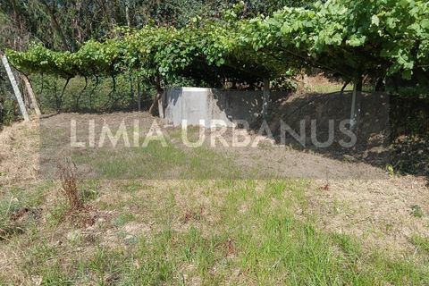 Helårsgrund i Ponte de Lima, Viana do Castelo, Ponte de Lima - € 55.000 | Ref: TER_1098 - foto 15