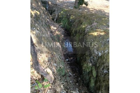 Helårsgrund i Ponte de Lima, Viana do Castelo, Ponte de Lima - € 55.000 | Ref: TER_1098 - foto 17