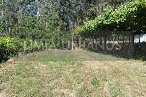 Helårsgrund i Ponte de Lima, Viana do Castelo, Ponte de Lima - € 55.000 | Ref: TER_1098 - foto 18
