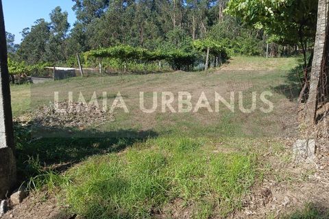 Helårsgrund i Ponte de Lima, Viana do Castelo, Ponte de Lima - € 55.000 | Ref: TER_1098 - foto 19