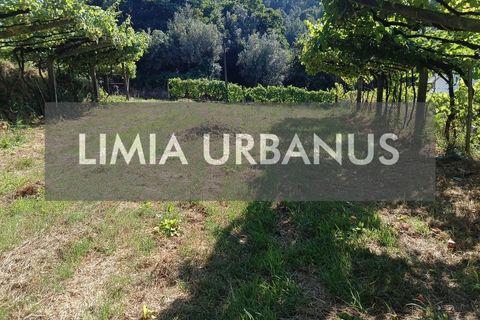 Helårsgrund i Ponte de Lima, Viana do Castelo, Ponte de Lima - € 55.000 | Ref: TER_1098 - foto 22