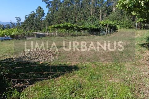 Helårsgrund i Ponte de Lima, Viana do Castelo, Ponte de Lima - € 55.000 | Ref: TER_1098 - foto 24