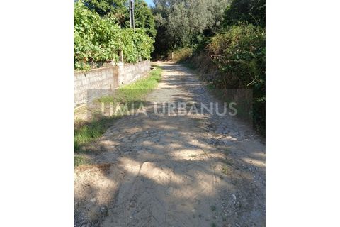 Helårsgrund i Ponte de Lima, Viana do Castelo, Ponte de Lima - € 55.000 | Ref: TER_1098 - foto 25