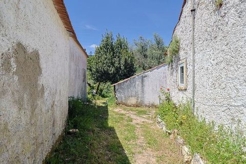 Villa i Ansiao, Leiria, Ansiao - € 48.000 | Ref: M-29700 - foto 13