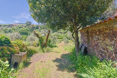 Villa i Ansiao, Leiria, Ansiao - € 48.000 | Ref: M-29700 - foto 14