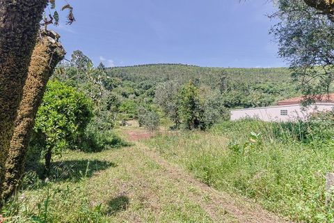 Villa i Ansiao, Leiria, Ansiao - € 48.000 | Ref: M-29700 - foto 15