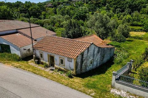 Villa i Ansiao, Leiria, Ansiao - € 48.000 | Ref: M-29700 - foto 17