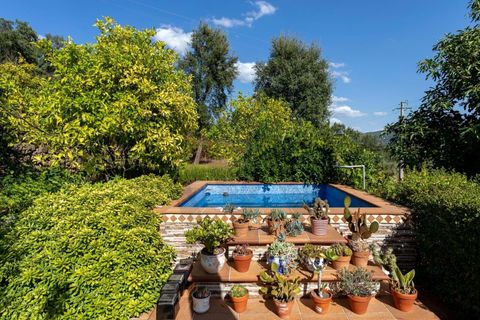 Villa i Monchique, Faro, Monchique - € 435.000 | Ref: KWPT-023260 - foto 25