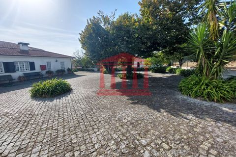Villa a Areias, Braga, Areias - € 530.000 | Ref: 272Q001066 - foto 8