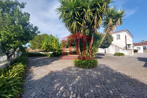 Villa a Areias, Braga, Areias - € 530.000 | Ref: 272Q001066 - foto 9