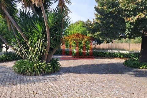 Villa a Areias, Braga, Areias - € 530.000 | Ref: 272Q001066 - foto 13