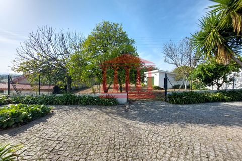 Villa a Areias, Braga, Areias - € 530.000 | Ref: 272Q001066 - foto 14