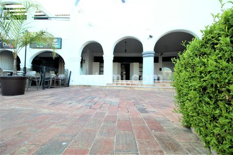Erhvervsejendom i Lagoa, Faro, Lagoa - € 320.000 | Ref: Sort24280 - foto 14