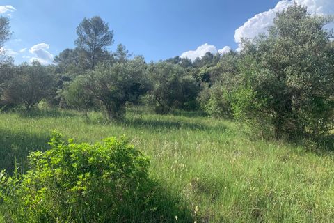 Villa a Camps-la-Source, Var, Camps-la-Source - € 449.000 | Ref: 86380674 - foto 8