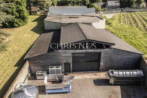 Villa i Saumur, Maine-et-Loire, Saumur - € 4.260.000 | Ref: NdB1027 - foto 4