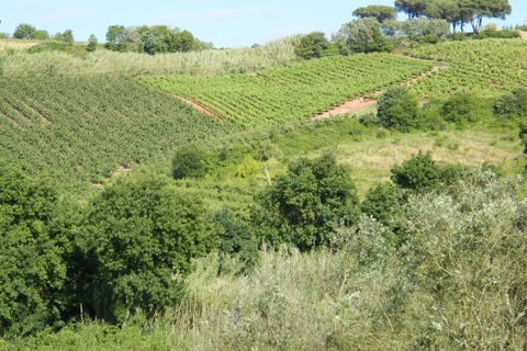 Villa a A dos Francos, Leiria, A dos Francos - € 495.000 | Ref: ACPS10839 - foto 24