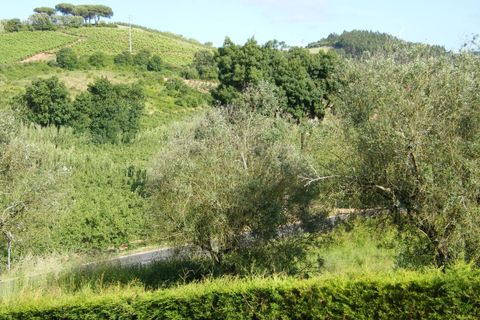 Villa a A dos Francos, Leiria, A dos Francos - € 495.000 | Ref: ACPS10839 - foto 30