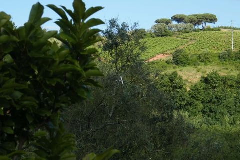 Villa a A dos Francos, Leiria, A dos Francos - € 495.000 | Ref: ACPS10839 - foto 31