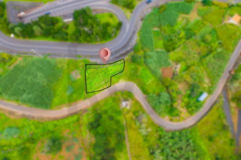 Helårsgrund i Machico, Madeira, Machico - € 49.000 | Ref: KWPT-023179 - foto 7