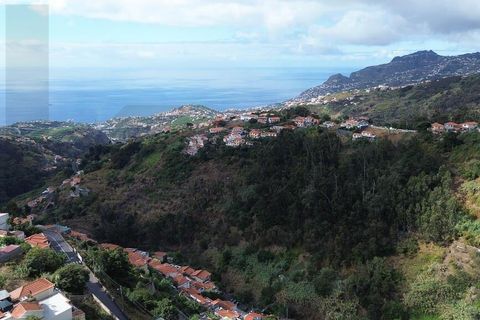 Byhus i Funchal, Madeira, Funchal - € 435.000 | Ref: KWPT-022751 - foto 35