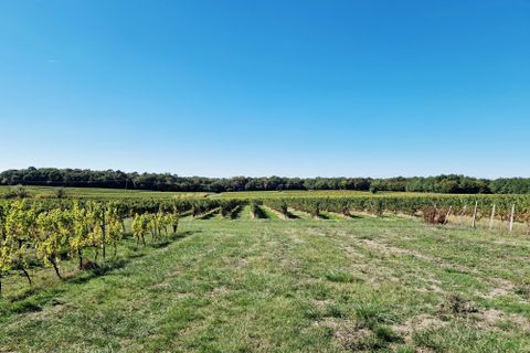 Villa a Sauveterre-de-Guyenne, Gironde, Sauveterre-de-Guyenne - € 690.000 | Ref: BVI83126 - foto 2
