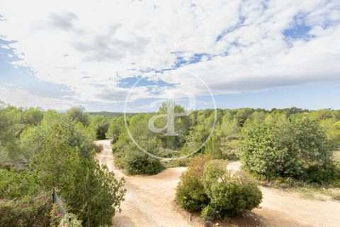 Farm hus i Torrent, Valencia, Torrent - € 800.000 | Ref: VV2510061 - foto 20