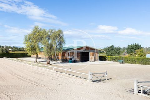 Farm hus i Torrent, Valencia, Torrent - € 800.000 | Ref: VV2510061 - foto 48