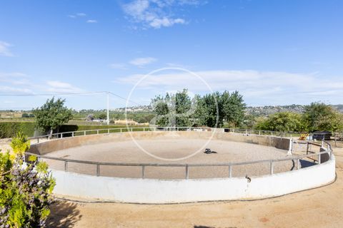 Farm hus i Torrent, Valencia, Torrent - € 800.000 | Ref: VV2510061 - foto 49