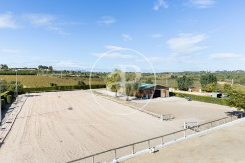 Farm hus i Torrent, Valencia, Torrent - € 800.000 | Ref: VV2510061 - foto 50