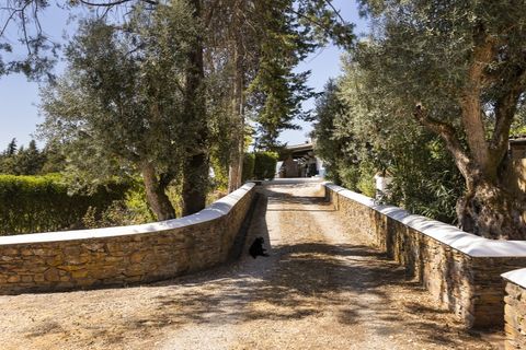 Farm i Estremoz, Evora, Estremoz - € 1.550.000 | Ref: AG055 - foto 2