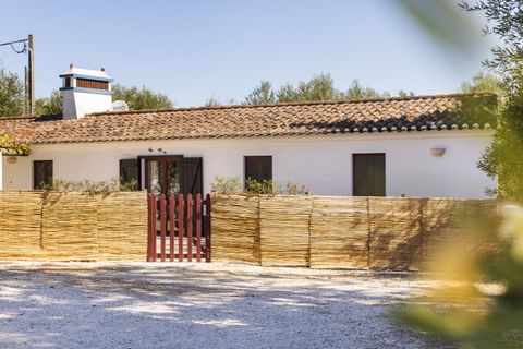 Farm i Estremoz, Evora, Estremoz - € 1.550.000 | Ref: AG055 - foto 24