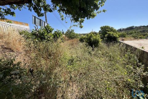Helårsgrund i Sagres, Faro, Sagres - € 105.000 | Ref: 120975 - foto 5
