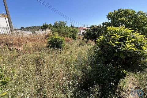 Helårsgrund i Sagres, Faro, Sagres - € 105.000 | Ref: 120975 - foto 11