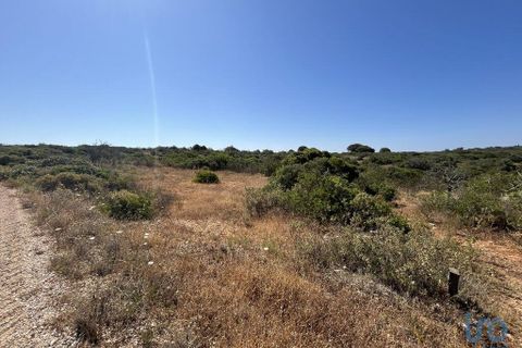 Terra a Sagres, Faro, Sagres - € 106.000 | Ref: 120955 - foto 2