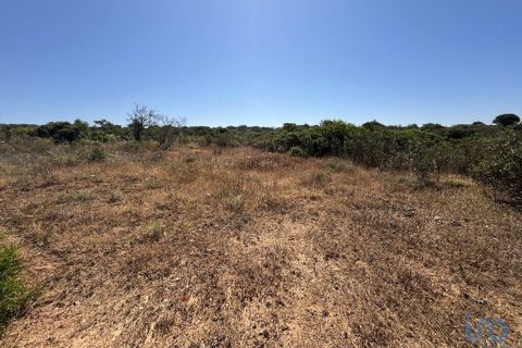 Terra a Sagres, Faro, Sagres - € 106.000 | Ref: 120955 - foto 3