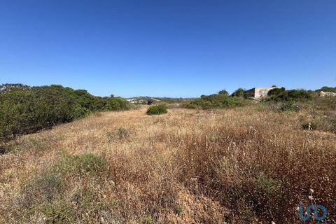 Terra a Sagres, Faro, Sagres - € 106.000 | Ref: 120955 - foto 4