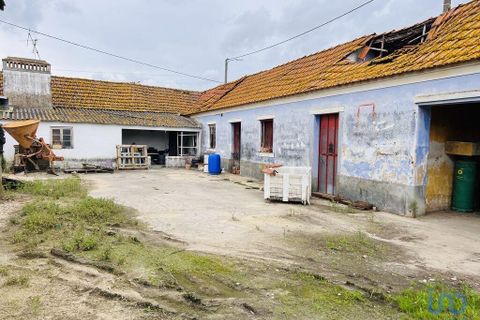 Byhus i Almeirim, Santarem, Almeirim - € 123.000 | Ref: 139320 - foto 5