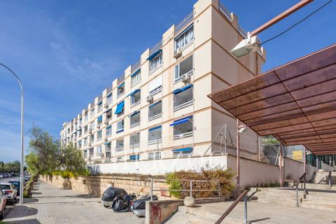 Leilighet i Santa Ponsa, Mallorca, Santa Ponsa - € 222 000 | Ref: 1172 - foto 12