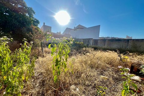 Byhus i Pinoso, Alicante, Pinoso - € 249.995 | Ref: 68028 - foto 7