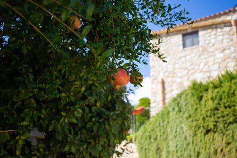 Villa i Realmonte, Agrigento, Realmonte - € 2.200.000 | Ref: Casa Balata - Realmonte - foto 43