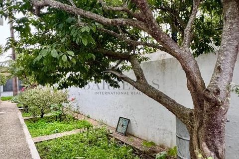 Villa i La Laguna, Tenerife, La Laguna - € 795.000 | Ref: IB-LAU-03 - foto 42