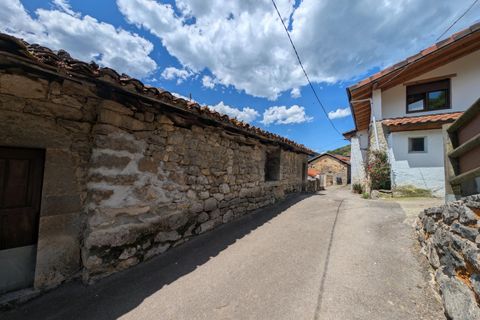 Villa - Proaza, Asturias, Proaza - € 50 000 | Réf : QPE00386/10606 - photo 4