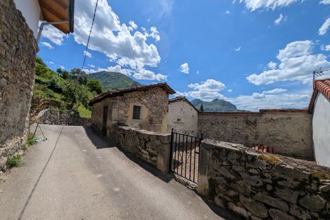 Villa - Proaza, Asturias, Proaza - € 50 000 | Réf : QPE00386/10606 - photo 12