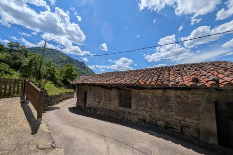 Villa - Proaza, Asturias, Proaza - € 50 000 | Réf : QPE00386/10606 - photo 14