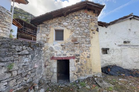 Villa - Proaza, Asturias, Proaza - € 50 000 | Réf : QPE00386/10606 - photo 22