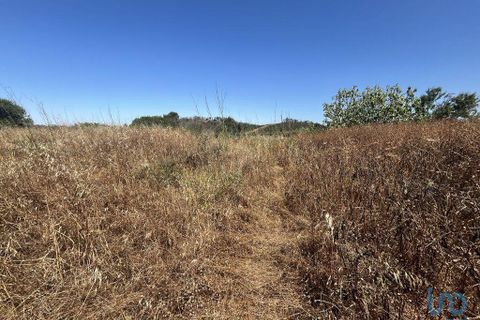 Helårsgrund i Sagres, Faro, Sagres - € 58.000 | Ref: 124611 - foto 6