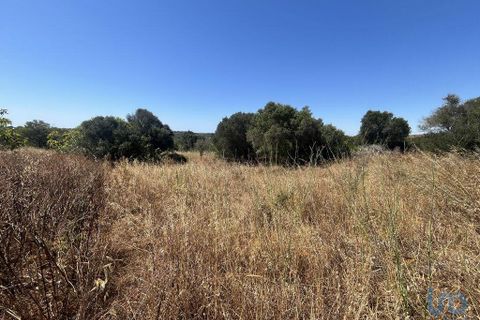 Helårsgrund i Sagres, Faro, Sagres - € 58.000 | Ref: 124611 - foto 7