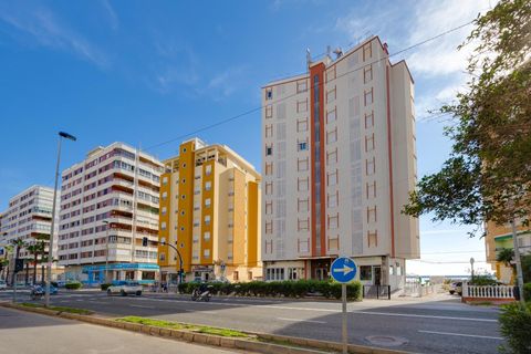 Lejlighed i Torrevieja, Alicante, Torrevieja - € 252.000 | Ref: PL214/3946 - foto 46