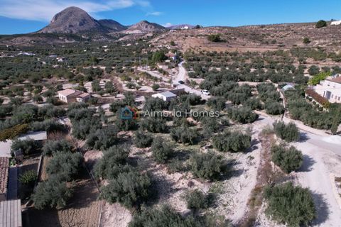 Landejendom i Velez-Blanco, Almeria, Velez-Blanco - € 115.000 | Ref: AH-14484 - foto 10