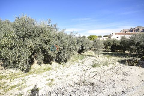 Landejendom i Velez-Blanco, Almeria, Velez-Blanco - € 115.000 | Ref: AH-14484 - foto 11